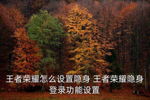 王者榮耀怎么設(shè)置隱身狀態(tài)，王者榮耀怎么設(shè)置隱身 王者榮耀隱身登錄功能設(shè)置