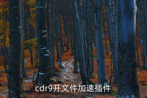 cdr插件，cdr9開文件加速插件