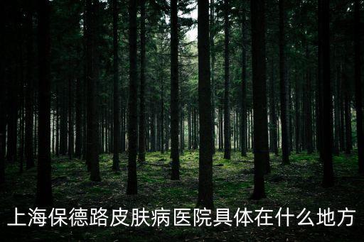 上海市皮膚病醫(yī)院保德路病房，上海市的保德路皮膚病醫(yī)院在哪里