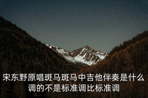 宋東野原唱斑馬斑馬中吉他伴奏是什么調的不是標準調比標準調