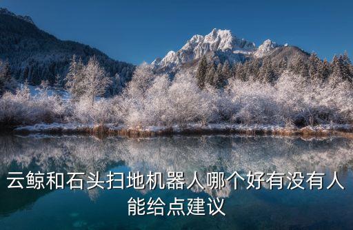 云鯨和石頭掃地機器人哪個好有沒有人能給點建議