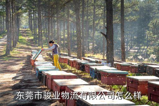 東莞市駿業物流有限公司怎么樣