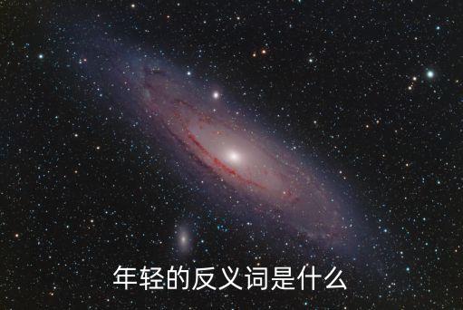 年輕的反義詞是什么
