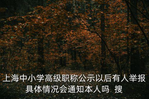 上海中小學高級職稱公示以后有人舉報具體情況會通知本人嗎  搜