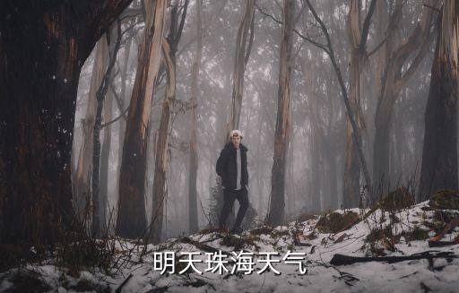 明天珠海天氣