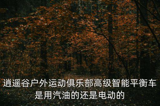 逍遙谷戶外運動俱樂部高級智能平衡車是用汽油的還是電動的
