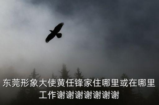 東莞形象大使黃任鋒家住哪里或在哪里工作謝謝謝謝謝謝謝