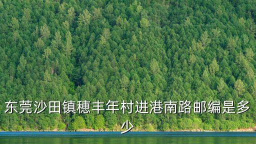 東莞沙田鎮(zhèn)進(jìn)港北路，東莞市沙田鎮(zhèn)的地圖