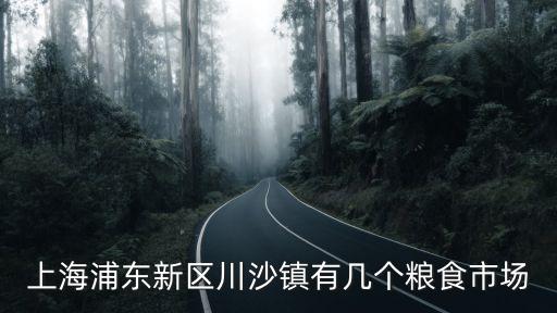 上海浦東新區川沙鎮有幾個糧食市場