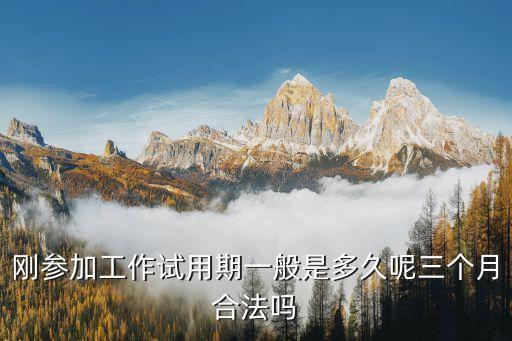 剛參加工作試用期一般是多久呢三個月合法嗎