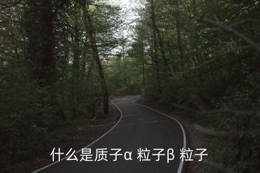 α粒子,原子核發(fā)生β衰變放出一個(gè)電子或轉(zhuǎn)化為中子
