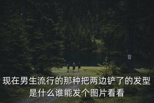 現在男生流行的那種把兩邊鏟了的發型是什么誰能發個圖片看看