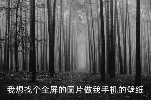 我想找個(gè)全屏的圖片做我手機(jī)的壁紙