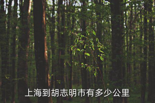 上海市胡志明市，上海到胡志明市有多少公里