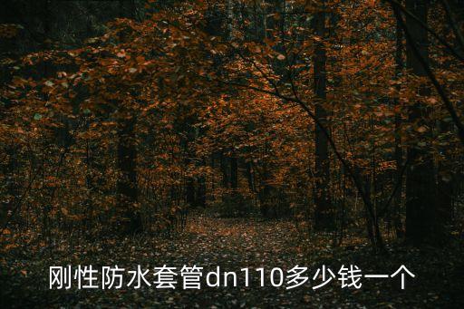 東莞剛性套管，剛性防水套管dn110多少錢一個