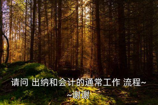 請問 出納和會計的通常工作 流程~~謝謝