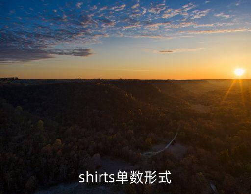 shirts單數形式