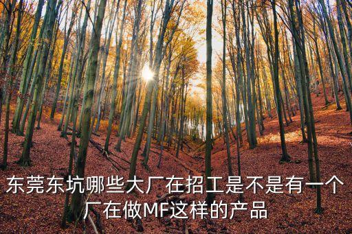 東莞東坑哪些大廠在招工是不是有一個(gè)廠在做MF這樣的產(chǎn)品