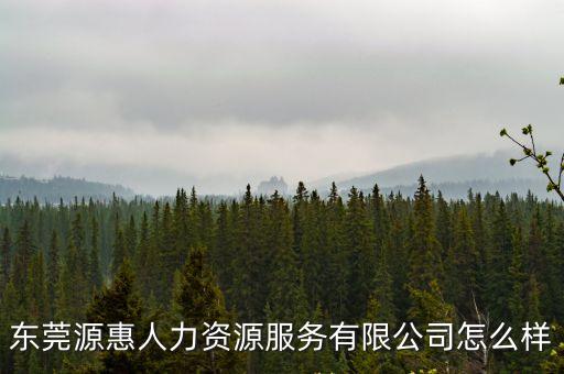 東莞源惠人力資源服務有限公司怎么樣