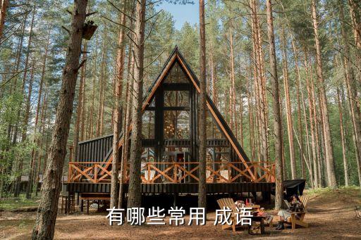 有哪些常用 成語
