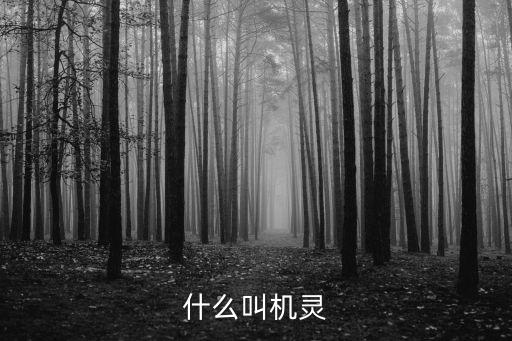 什么叫機靈