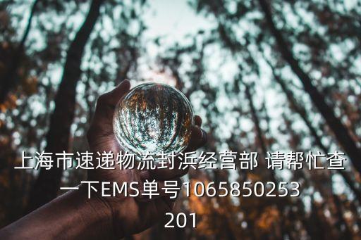上海市速遞物流封浜經營部 請幫忙查一下EMS單號1065850253201