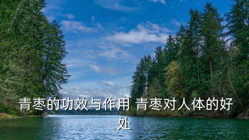  青棗的功效與作用 青棗對(duì)人體的好處