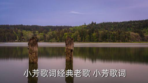 小芳歌詞經典老歌 小芳歌詞