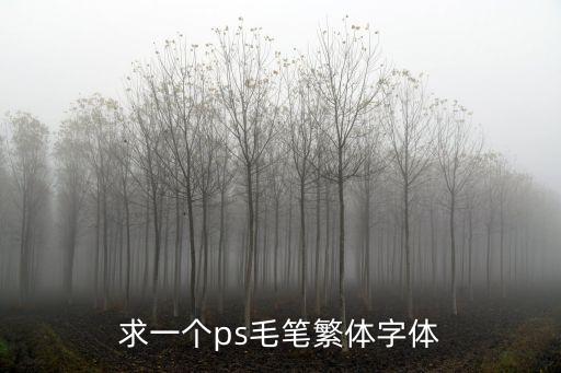 求一個ps毛筆繁體字體
