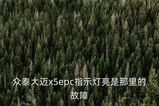眾泰大邁x5epc指示燈亮是那里的故障