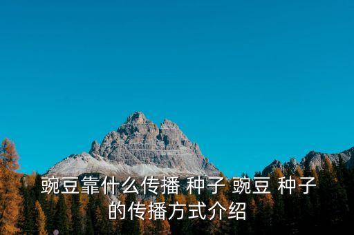  豌豆靠什么傳播 種子 豌豆 種子的傳播方式介紹