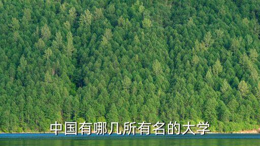 中國有哪幾所有名的大學