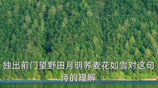 獨出前門望野田月明蕎麥花如雪對這句詩的理解