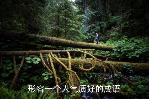 形容一個人氣質(zhì)好的成語