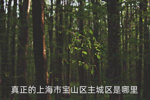 真正的上海市寶山區主城區是哪里