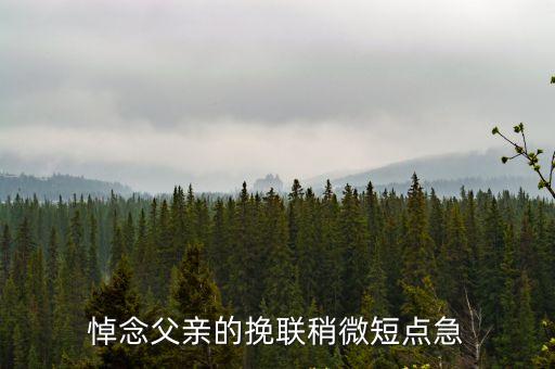 悼念父親的挽聯(lián)稍微短點(diǎn)急