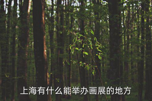 上海有什么能舉辦畫展的地方