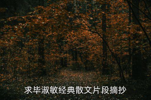 求畢淑敏經典散文片段摘抄