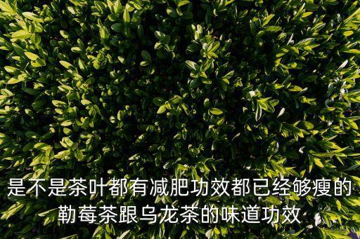 是不是茶葉都有減肥功效都已經夠瘦的勒莓茶跟烏龍茶的味道功效