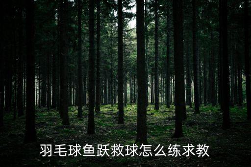 羽毛球魚躍救球怎么練求教