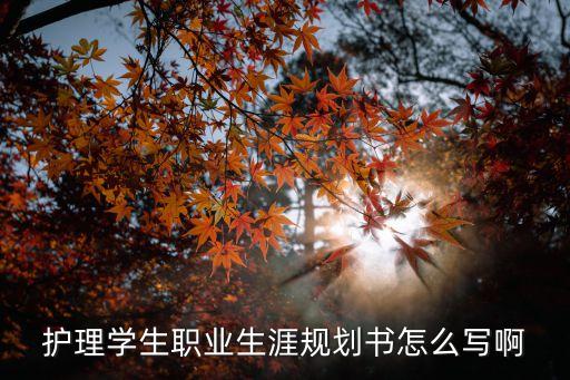 護(hù)理學(xué)生職業(yè)生涯規(guī)劃書怎么寫啊