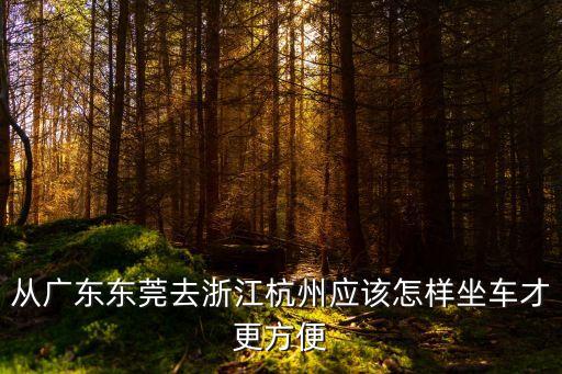 東莞到杭州乘車攻略，從廣東東莞去浙江杭州應該怎樣坐車才更方便