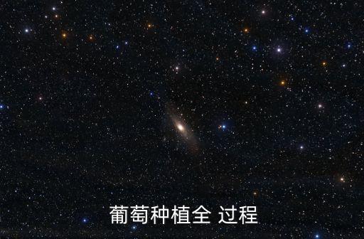  葡萄種植全 過程