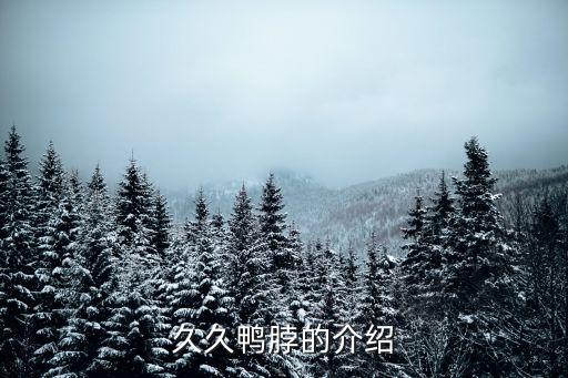 久久鴨脖，久久鴨脖怎么樣嗎