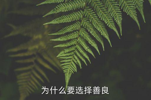 選擇善良，選擇善良為題的中考作文