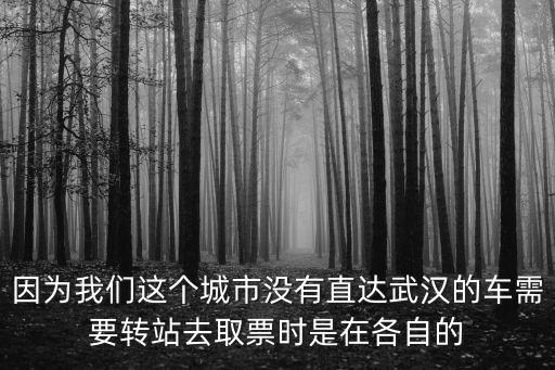 因為我們這個城市沒有直達武漢的車需要轉站去取票時是在各自的