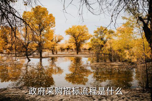 政府采購招標流程是什么