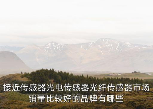 接近傳感器光電傳感器光纖傳感器市場銷量比較好的品牌有哪些