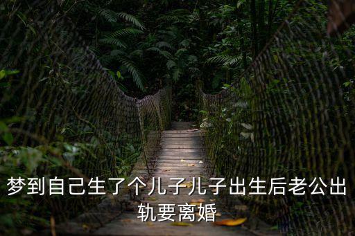夢到自己生了個兒子兒子出生后老公出軌要離婚
