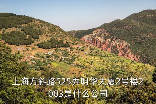 上海方斜路525弄明華大廈2號樓2003是什么公司